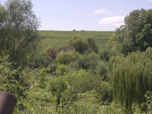 NaturOparC Hunawihr, Alsace (France)